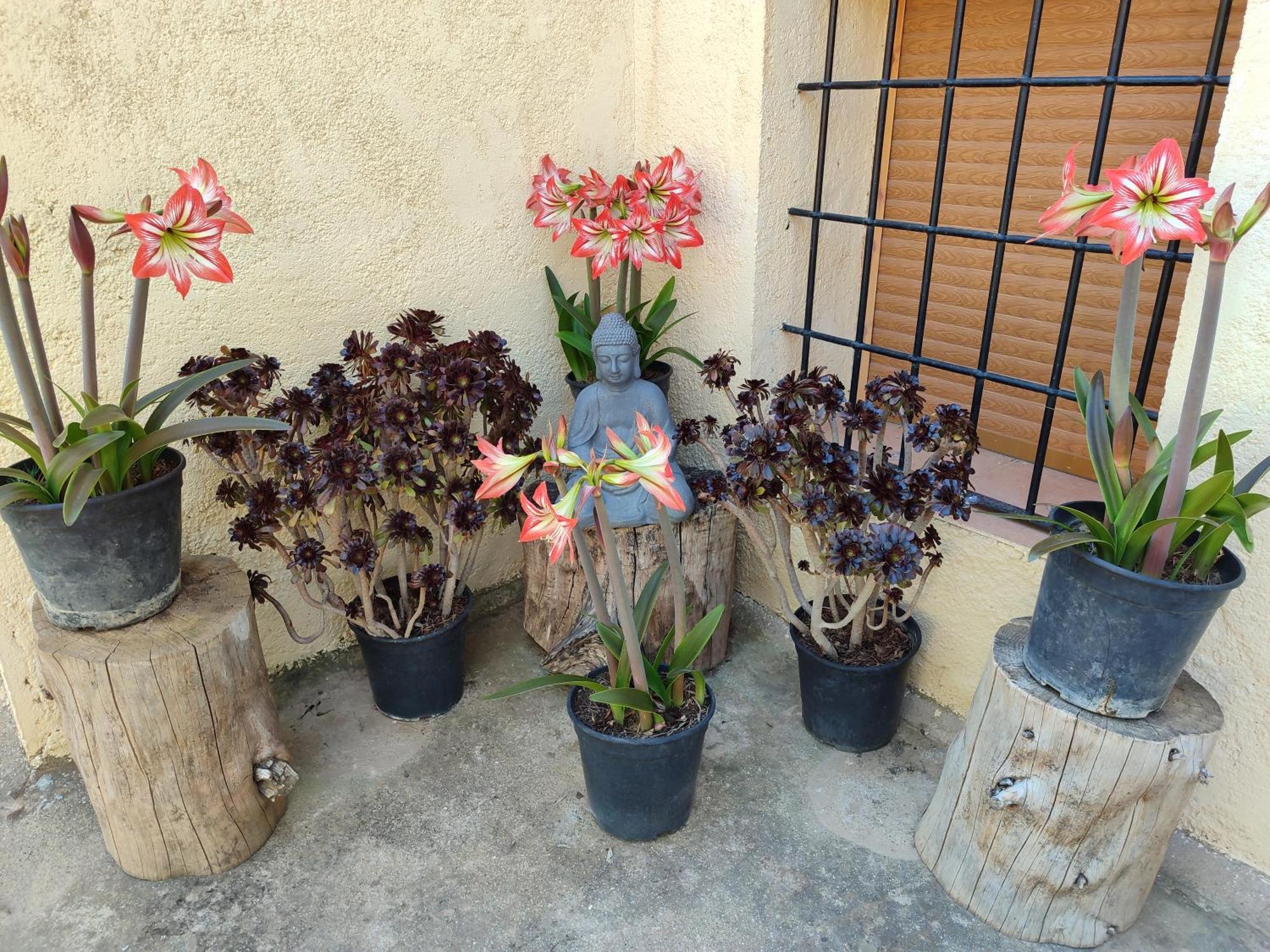 فيلا Vivienda Rural Belen Pozo Alcón الغرفة الصورة
